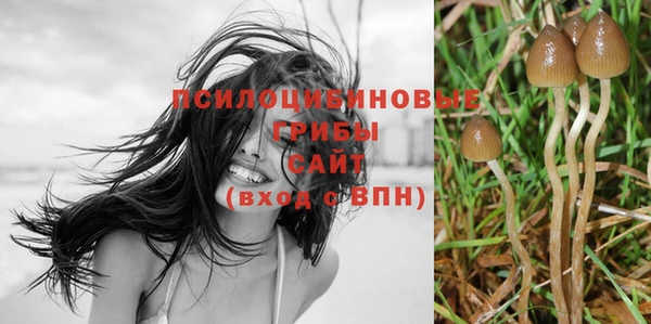 MDMA Premium VHQ Волоколамск