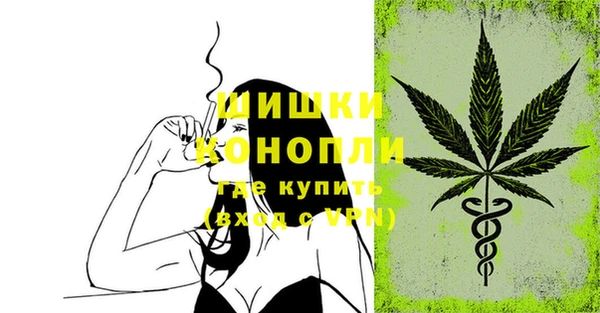 соль ск Иннополис
